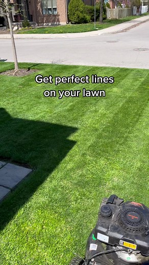 Easy DIY Lawn Striper #fyp #foryou #smartzombie #diy | Easy DIY
