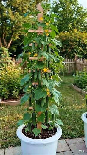 Grow Cucumbers Upwards! | Vertical Garden Tower for Small Spaces#verticalgarden #cucumberplant