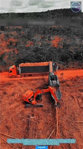 Advanced & Productive: Mobile Wood Chipper and Excavator Teamwork for Timber Processing