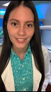 Colorblind Cuttlefish Has Incredible Camouflage. #animals #nature #sea #science