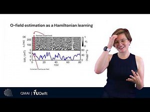 Overhauser field estimation