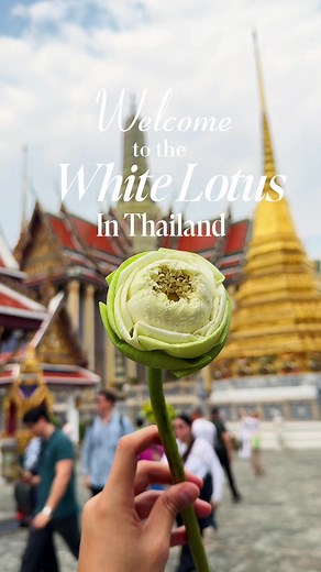 Exploring Temples in Bangkok: A Cultural Journey