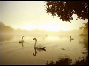 "Arcadia" by Kevin MacLeod