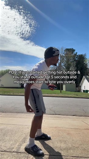 mfs annoying asl🤦🏽😂 #fyp #viral #relateable #xyzbca #makemefamous | mosquito