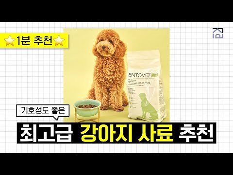 Top 3 Dog Food Recommendations! Veterinarian Seol Chae-hyeon's Favorite Dog Food Recommendations