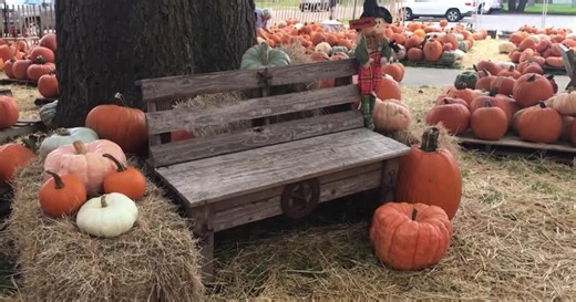 First United Methodist Church Pumpkin Patch opens October 5 with community activities
