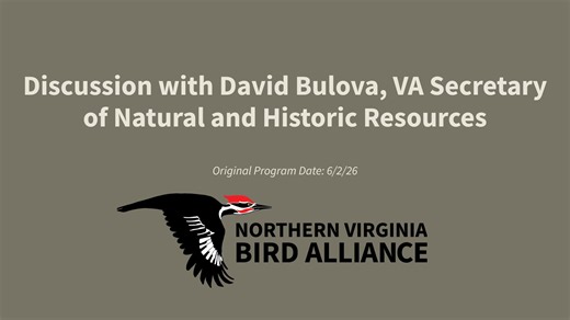 Discussion with David Bulova, VA Secretary of Natural and Historic Resources