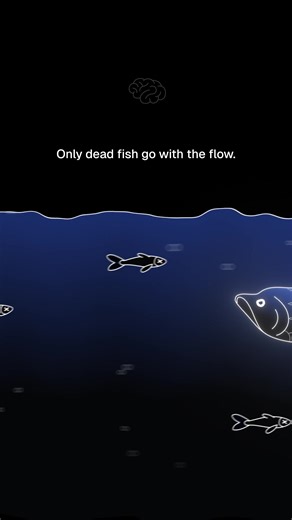 Build Your Own Path: Challenge the Flow