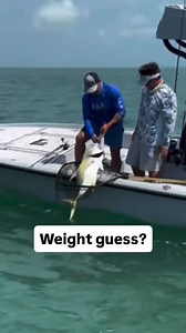 Weight guess? Top 10 📈 ALL JACKED UP! 💪 We caught some monsters on the flats in our including @tom_rowland PB last season! Watch your favorite SWE episode from ANY of our seasons 24/7/365 at @waypointtv 👇 The Waypoint TV Channel is available on the Waypoint TV App, WaypointTV.com, Samsung TV Plus (Channel 2487), DirecTV (Channel 4175), LG (Channel 486), VIZIO (Channel 1330), XUMO (Channel 718), Tubi, TCLtv , TCL Global FuboTV, Amazon Prime, Amazon Fire TV Channel, Local Now, Plex and SLING. #