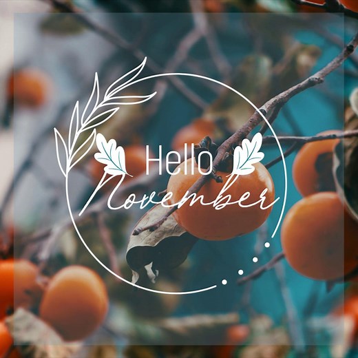 Hello, November! It's time to bring on all the coziness. The weather has finally turned a bit cold, you might be able to still catch some reds , yellows , and oranges  outside, and all the Thanksgiving feasting is right around the corner!  #Autumnbreeze #IRTLiving #Givethanks #Apartmentliving #Noblesvilleapartments | Autumn Breeze | Facebook