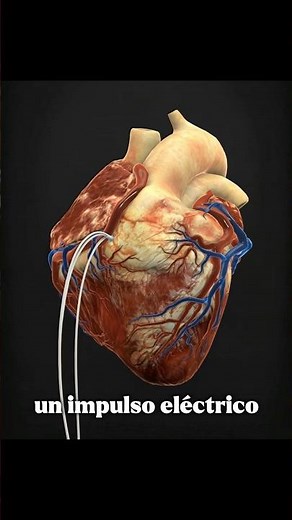 The Pacemaker