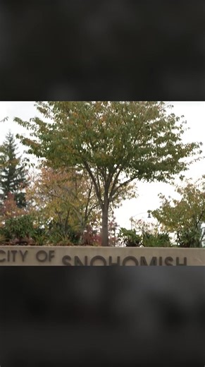 The all-new 2025 Ford lineup is built for every season, especially fall in Snohomish. 🍂 From the rugged F-150 to the versatile Bronco Sport, every drive feels like an adventure. Stop by Bickford Ford and take one for a spin! | Bickford Ford