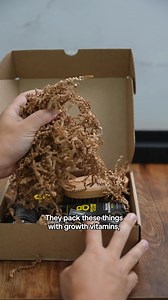 208K views | Join the 2 Million+ Guys Who Trust Beard Club! For a Limited Time Only Save 25% Off with code GROWCLUB25 | Beard Club | Facebook