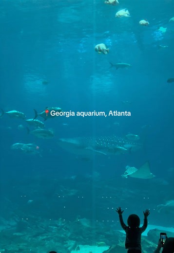 Explore the Wonders of Georgia Aquarium in Atlanta