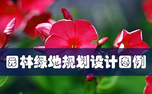 园林绿地规划设计图例