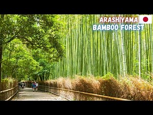 Arashiyama Bamboo Forest Walkthrough | Kyoto, Japan