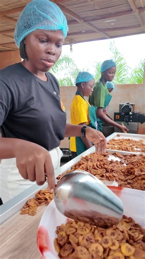 À ma brigade de l’hygiène 🫶🏾😊 Non, nous ne portons pas de gants. Nous privilégions un lavage des mains régulier et fréquent, conformément aux bonnes pratiques d’hygiène alimentaire. 💚 Merci d’avoir regardé cette vidéo ! ❤️ N’oubliez pas de liker 👍🏾 et de vous abonner pour plus de contenus. 📲 Pour passer commande, envoyez-nous un message WhatsApp au 229 51 73 09 32. Nos produits : 🍌 Chips Banane mûre 🍌 Chips Banane non mûre 🍠 Chips Patate douce 🌿 Chips de Taro 🌾 Ahayoe Tarifs : • 150 