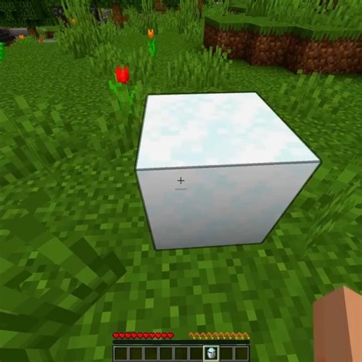 Minecraft’s Coldest Trap Ever 🤯 #shorts #minecraft