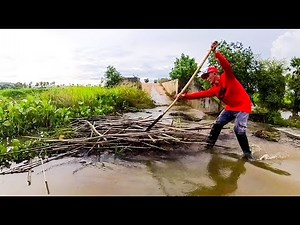 Remove Floating Plants And Debris Bamboo Clogged Massive Dam Drain Water