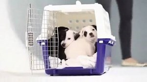 Meeting for the first time