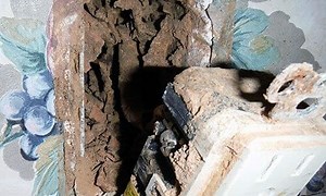 Learning Center - Termite Tom - Termite and Pest Control Lawyer