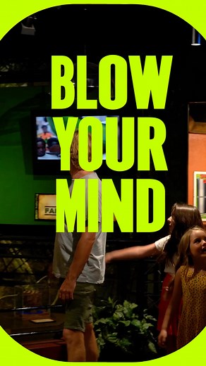 Discover the extraordinary at Ripley’s! Explore bizarre artifacts, immersive games, mind-bending oddities, and so much more. | Ripley's Believe It or Not!
