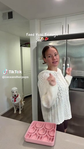 Discover My Favorite Dog Treats and Feeding Solutions