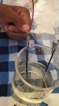 Electrolytic of potassium iodide solution reaction Chemical reaction chemistry practical in lab