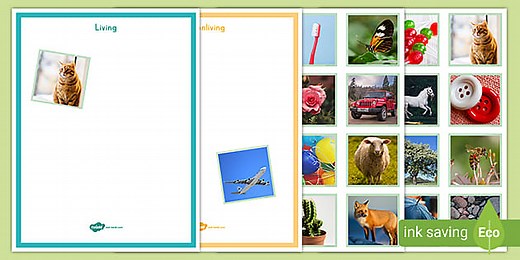 Living and Nonliving Things Photo Sorting Worksheet