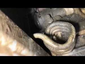 Buick Lacrosse Power Steering Leak