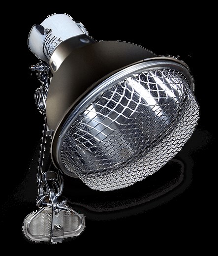 Ceramic Clamp Lamp - Arcadia Reptile