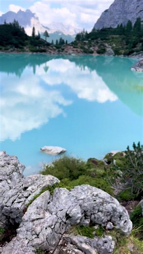 Adventure Garrett (@adventure_garrett)’s videos with pink plus white - ✿