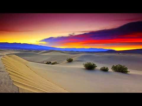 Contemplations from the bench on how to properly file a nut.