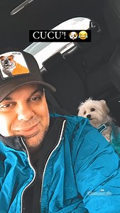 Raf Marchesini on Reels | Facebook