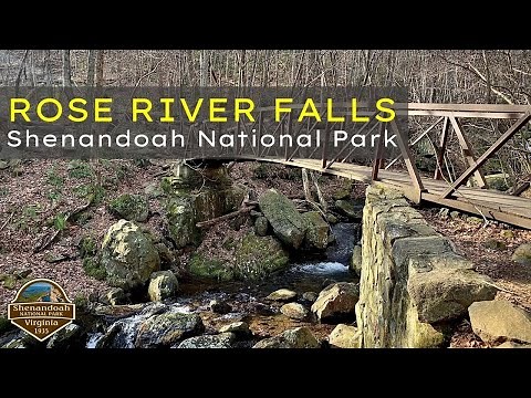 Shenandoah National Park - Rose River Falls Loop Trail | Virginia Hiking