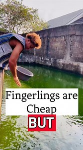 Fish Farming? Expo 2026 #fish #highlights #followers | First Fish Academy