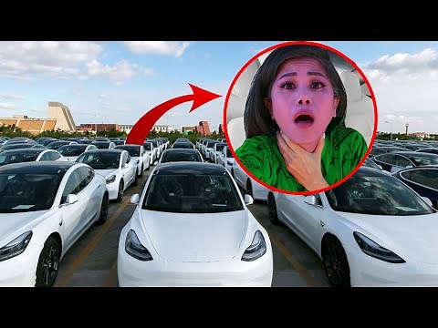 I’m Trapped Inside One of these Teslas!