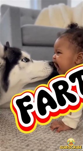 Baby vs Husky: Epic Woof vs Fart Battle 😂