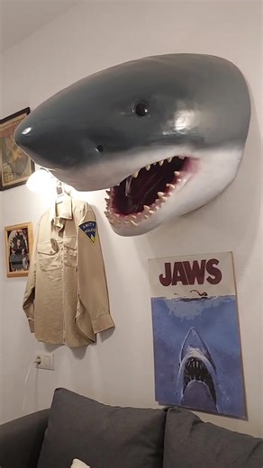 This weeks JAWS post is a project I have been planning for a while. My good friend bought me a fibre glass shark head but I always felt it wasn't JAWS enough! So, last week I set to work on making my own "Bruce" for my JAWS room. His teeth needed a lot of work and then it was sorting out his paint job. He now sits pride of place in the Jaws cave. If you have enjoyed this post then please stop by my Instagram page @jawsmad1975 to see the rest of my collection. | The Daily Jaws