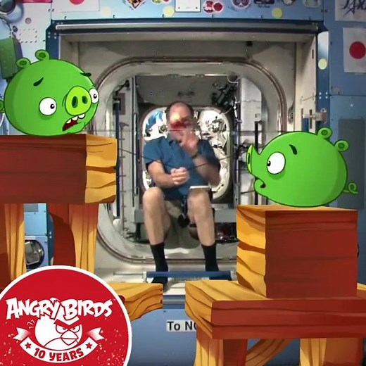 158K views · 509 reactions | Our collaboration with NASA - National Aeronautics and Space Administration dates back to 2012 and it's continued over the years with a mobile game, a series of education programs and a visit to the International Space Station. Believe it or not, it all started with a tweet! #AngryBirds10 | Angry Birds | Facebook