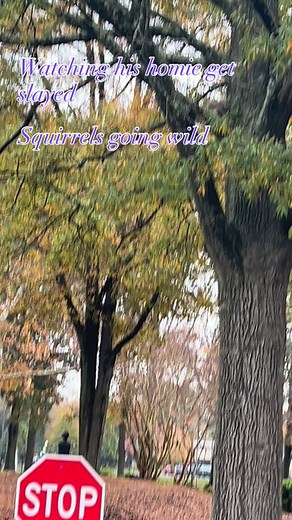 Save your mans # | Pathways Path