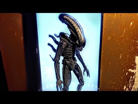 ALIEN XENOMORPH!!! NECA 1/4 SCALE