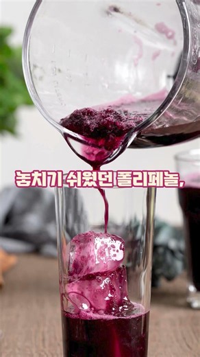 복분자종자유 효능 복분자의 핵심 영양소를 찾는다면