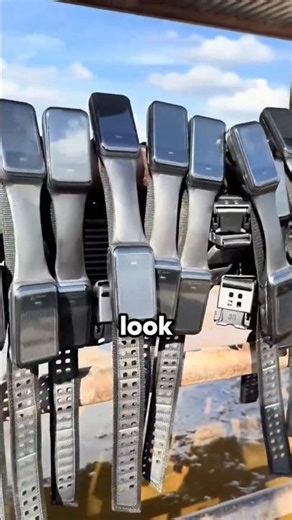 The Smartwatch for Cows 🐄