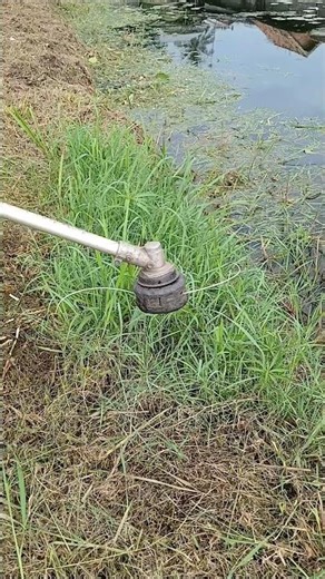 trimmer head potong rumput terbaik #mesinrumput