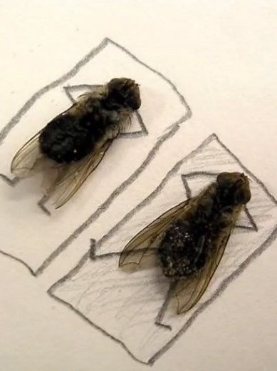 Breaking Bad Memes: Hilarious Moments from the Series