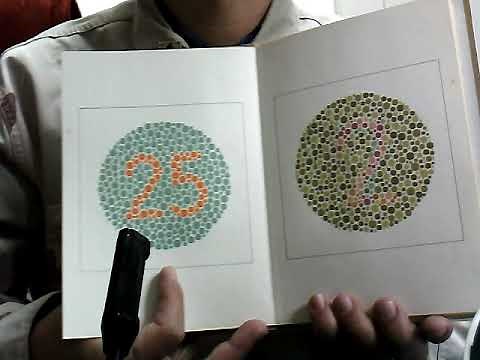 I am completely color blind, so I will explain why I cannot distinguish between color vision char...