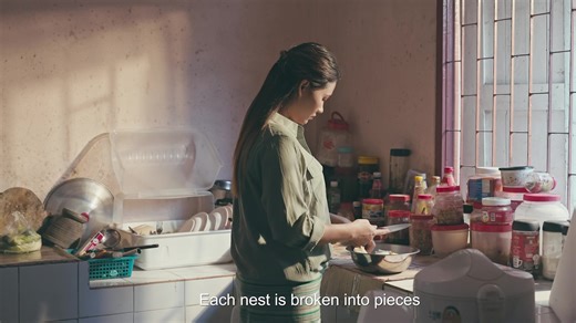 16K views · 675 reactions | “ZOOMERS ” Film theme Song Song : Falling Star in the Spring Singer: David Lai | Innlay Production | Facebook