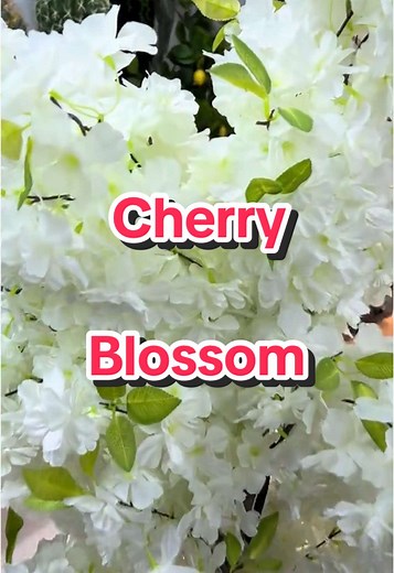 HomeWay على TikTok