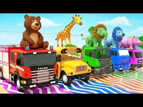 Shark Baby + Wheels on the Bus, Children's nursery rhyme kids videos